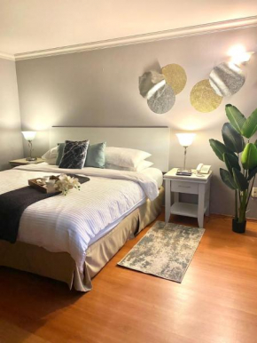 Cozy Stylish room in Polanco